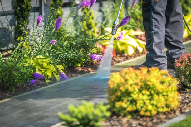 Best Pre-Holiday Cleaning  in Echelon, NJ